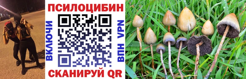 Галлюциногенные грибы ЛСД Волхов